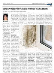 Síða 19