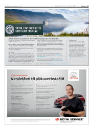 Síða 25