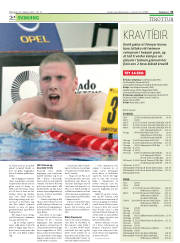 Síða 31