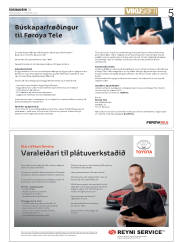 Síða 5
