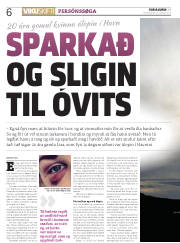 Síða 6