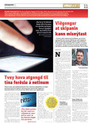 Síða 11