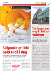 Síða 13