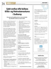Síða 34
