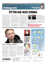 Síða 2