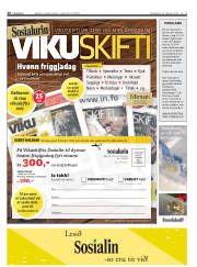 Síða 20