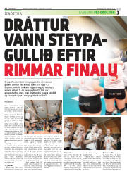 Síða 28