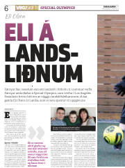 Síða 6