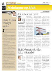 Síða 18