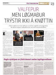 Síða 23