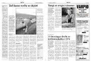 Síða 4