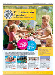 Síða 3