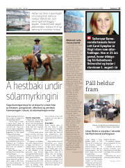 Síða 17