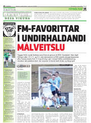 Síða 28