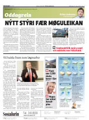 Síða 2
