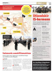 Síða 11