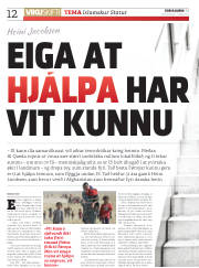 Síða 12