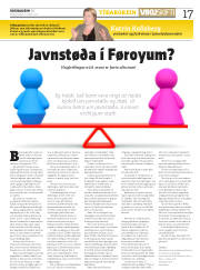 Síða 17