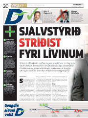 Síða 20