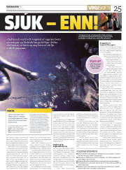 Síða 25