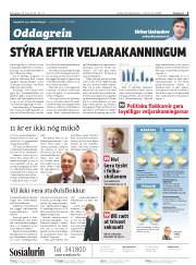 Síða 2