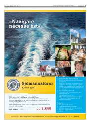 Síða 3