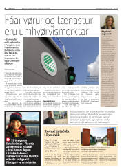 Síða 6