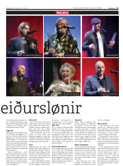 Síða 17