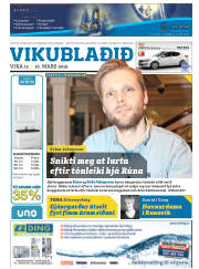Síða 41