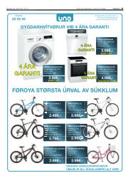 Síða 13