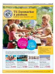 Síða 21