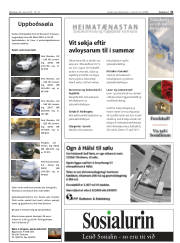Síða 31
