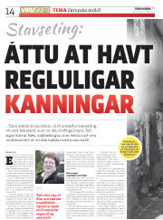 Síða 14