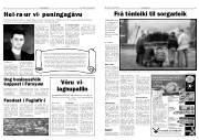 Síða 3