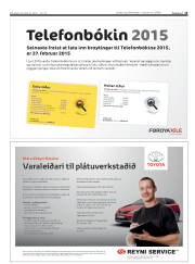 Síða 15