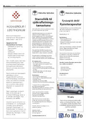 Síða 20