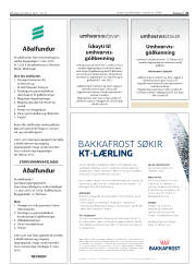 Síða 21