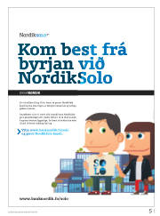 Síða 29