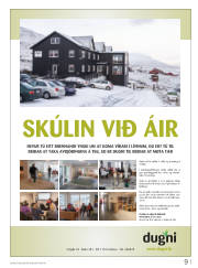 Síða 33