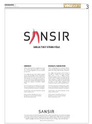 Síða 3