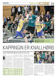 Síða 23