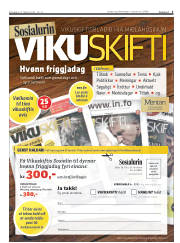 Síða 3