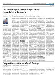 Síða 13