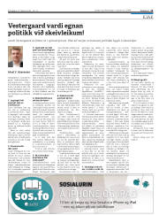 Síða 15
