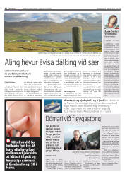 Síða 16