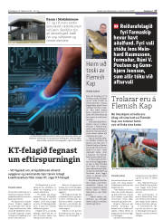 Síða 17