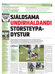 Síða 28