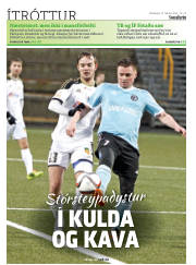 Síða 32