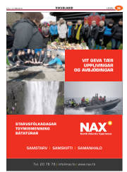 Síða 43