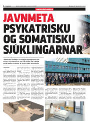Síða 6